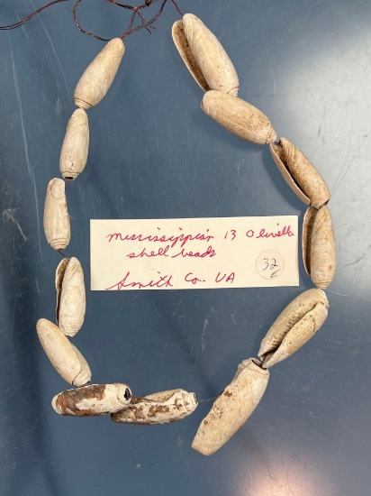 22" Strand of Shell Beads, 13 Large Shell Beads, Found in Smith Co., Virginia, Nice condition