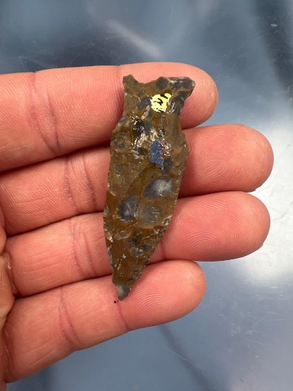 Colorful PA Varigated Jasper 2 3/16" Orient Fishtail, Chalcedony Inclusions, NICE
