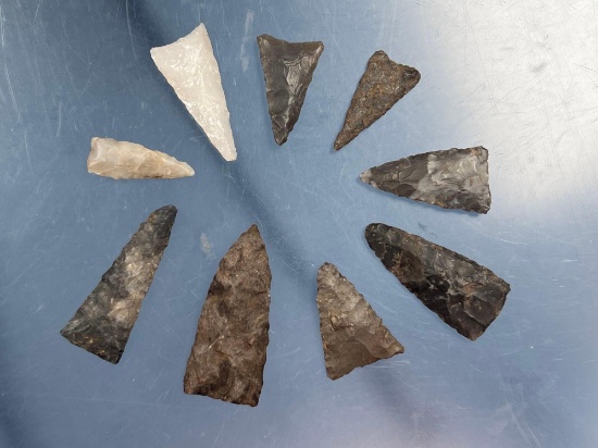 Lot of 9 Fine Iroquoian Style Triangle Points, Found in New York, Longest Measures 1 5/8"