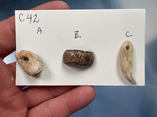 Lot of Drilled Teeth (Elk, Canines) and Incised Bone Ring, Sites in NY, Pictured in Lar Hothem's