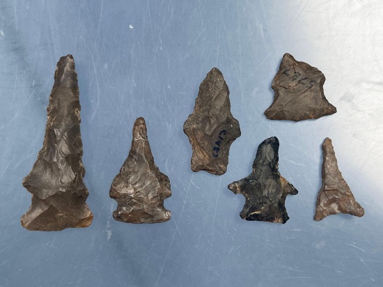 Impressive Lot x6 Anciently Re-Worked Points into Drills, Tools, Found in New York, Longest 2 1/4".