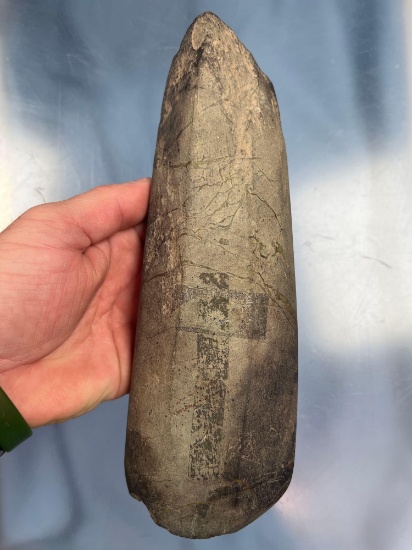 HIGHLIGHT 9 1/2" Lamoka Faceted Adze, Kipp Island, Seneca Co., New York, MASSIVE!