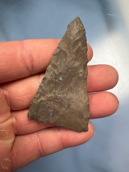 LARGE 2 3/4" Triangle Point, Found in Dimock Hollow, Gilbertsville, New York, THIN and Good Conditio