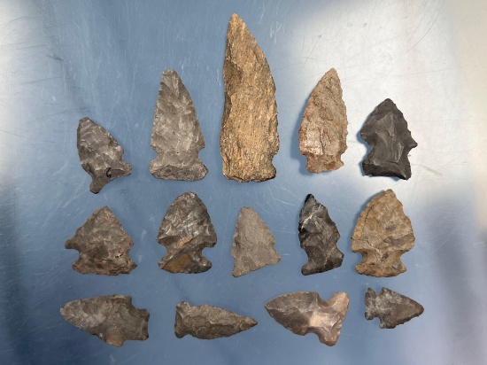 Lot of 15 Notched Points, Mainly Onondaga Chert, Found in New York, Longest 2 3/4"