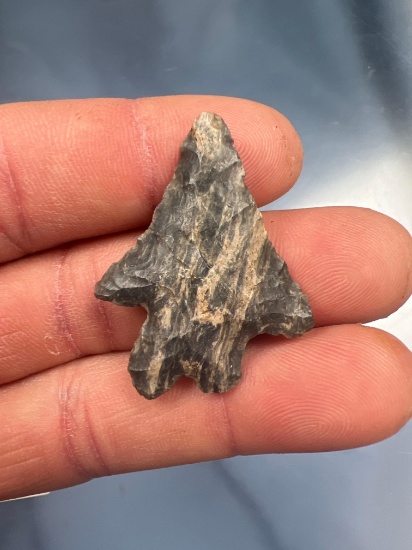 IMPRESSIVE 1 1/2" Banded Chert MacCorkle Bifurcate Point, Found in E. New York, Minor tip ding noted