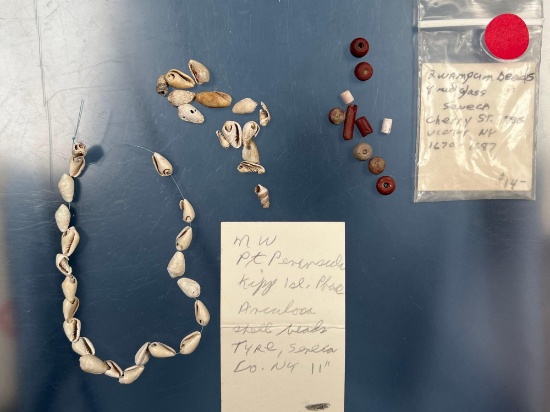 Drilled Shell Beads Seneca Co., New York + Red Straws+Red Round Trade Beads Victor, New York