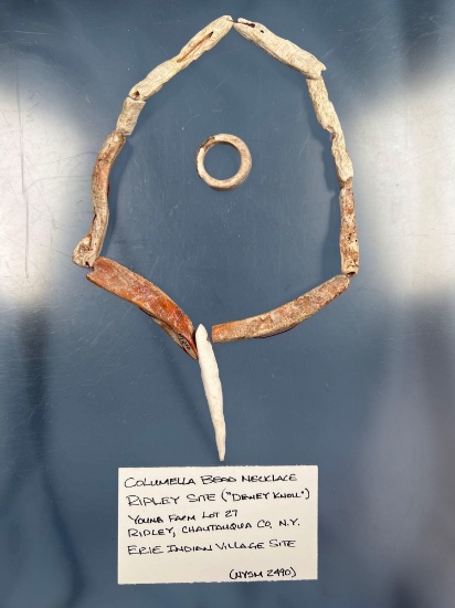 HIGHLIGHT Shell Bead Necklace +Shell Ring, Young Farm, Ripley Site "Dewey Knoll" Chautauqua Co., NY.