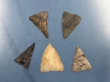 Lot of 5 Fine Triangle Points, Onondaga, Rhyolite, Quartz, Found in New York- Longest 1 3/8