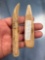 RARE Pair of Bone Pottery Stylists, Clay Working Tools, Found in Stockbridge, New York, Longest 4 7/