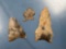Lot of Virginia Arrowheads, Hardaway/Dalton Paleo Points, Chert, Ex: Summers Collection