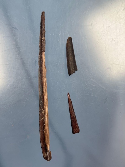 Lot of 3 Bone Tools, Found in Florida, Longest is 6 1/2", Ex: Summers