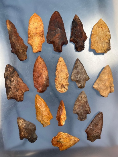 Lot of 16 Various Florida Arrowheads, Point, River Stained, Longest 3 1/4", Coral, Chert