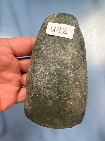 WIDE 5" Greenstone Celt, Found in Avon, New York, Highly Polished, Sharp Bit