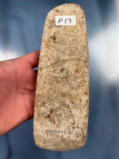 7 7/8" Celt, Found on Sinclair Farm, Geneseo, Linvingston Co., New York, Ex: Wray, Summers Collectio