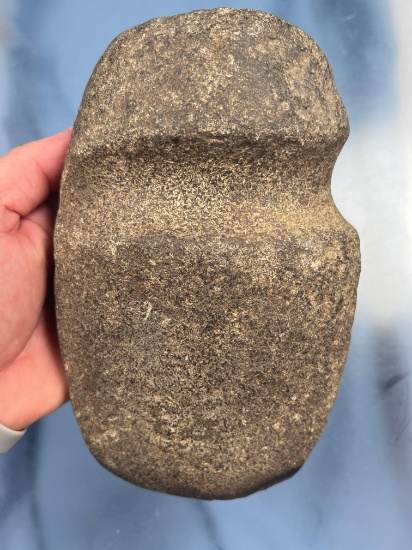 LARGE 7 3/4" 3/4 Groove Granite Axe, Sits on End, Found in New York. Bit Damage, modern grinding.