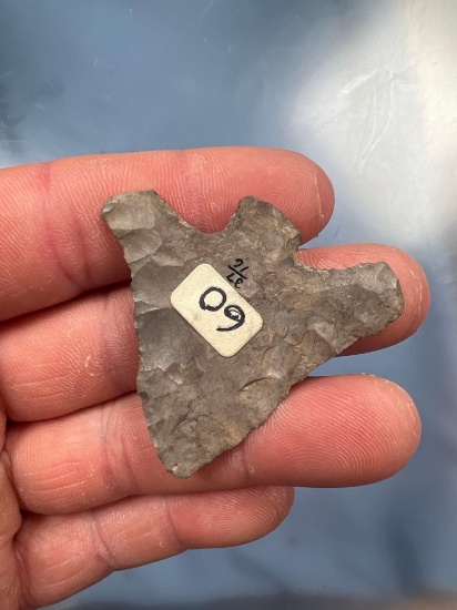 1 5/8" Basal Notch Point, WIDE, Onondaga Chert, Found in New York