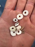Lot of 10 Shell Beads, Discs, Barrels, Bulbos, Found in Cayuga, New York