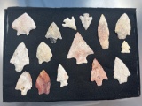 Frame of 15 Florida Found Arrowheads, ALL RESTORED, Some Ears, Bases, Tips, Mid Sections, etc. 3 1/4