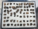 Large Lot of Various Pottery Rim Shards, Found on Cherry Site in Victor, NY, Seneca