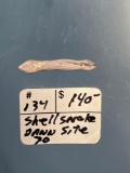 RARE Snake Shell Effigy, Found on the Dann Site, Monroe Co., New York, 7/8