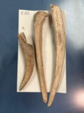 Deer Tine Flaker, Long Bone Tool, Dual Bone Implement, Lamoka Lake Site, New York, PICTURED