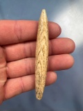 RARE Drilled Walrus Algonquin/Late Woodland Bead, St. Lawrence Co., New York, PICTURED Hothems Bone
