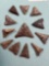 Lot of 12 FINE Chert Triangle Points, Levannas, EXCELLENT Condition, Broome Co, New York