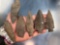 NICE Lot x6 FINE Ft. Payne Chert Points, Archaic Stem, Found in Tennessee, Longest 3 3/8