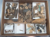 Lot of Site Material, Shards, Bone Tools, Animal, Drill, Pipestems, Washington Boro, Ex: Henry