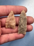 Pair of Quartzite Transitional Paleo/Late Archaic Points, Found in North Carolina, Longest 2 1/16