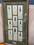 Framed Selection of Painted Metallic Arrowhead Casts, Typology, NO SHIPPING