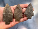 NICE Lot x3 Fine Pickwick Points, Ft. Payne Chert, Found in Tennessee, Longest 3 5/16