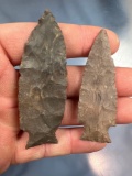 Pair of THIN Ft. Payne Chert Bakers Creek Points, Found in Tennessee, Longest is 3