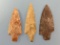 x3 Quality Arrowheads, Found in Arkansas, Personal Finds of Rod Ring, Longest is 3 5/8