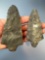 Large pair of Morrow Mountain Points, 5 1/4