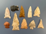Lot of 10 Various Arrowheads, Found in Arkansas, Personal Finds of Rod Ring, Longest is 2 13/16