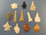 Lot of 12 Various Arrowheads, Found in Arkansas, Personal Finds of Rod Ring, Longest is 1 7/8