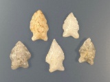 Lot of 5 Bifurcated Points, Quartz, Longest 1 3/8