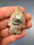 SUPERB Flintridge Bifurcate, Found in Columbiana Co., Ohio, Well-Made and Colorful