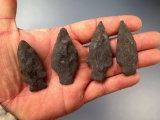 x4 Argillite Archaic Stem Points, Found in Montgomery Co., PA, Longest is 2 5/16