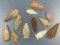 Lot of 12 Nice Quartzite and Quartz Points, Arrowheads, Found in Harford Co., MD Ex: Westerwald Coll