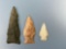 Lot of 3 Fine Points, Fox Creek, Archaic, Stem, Found on the Joppa Farm (Joppatowne, Harford Co., MD