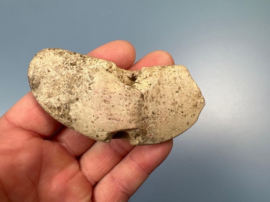 NICE 3 3/8" Drilled Wingnut Bannerstone, Found in Warren Co., NJ, Fluted Barrel, Rare Design