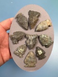 Lot of 9 Nice Onondaga Chert Points, Brewertons, Longest 1 1/2