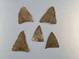 x5 Chert Triangle Points, Purchased in a Frame in 1995 Marked 