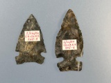 SUPERB Pair of Chert Raccoon Points, Found in Chemung Co., NY, Longest is 1 13/16