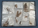 Bone Lot of Awls, Raccoon Penis Awls, Engraved Bone, Turtle Shell and More, Mainly from Dann Site, E