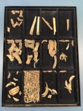 Large lot of Various Bones, Teeth, Awls, Flakers and More, Found on the Beal and Cherry St. Site, Vi