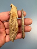 Pair of Larger and Damaged Bone Harpoons, Kipp Island Site, Tyre, Seneca Co., NY. Longest is 3 5/8