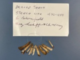 Drilled Animal Teeth Artifacts, Iroquoian, From the Steele Site, NY 1630-1650, Ex: Harry Schoff Coll